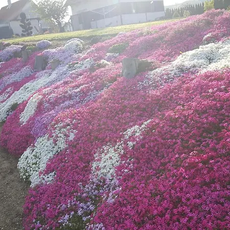 Moitz アパート Heimschuh