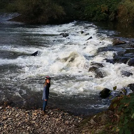 Moitz アパート *