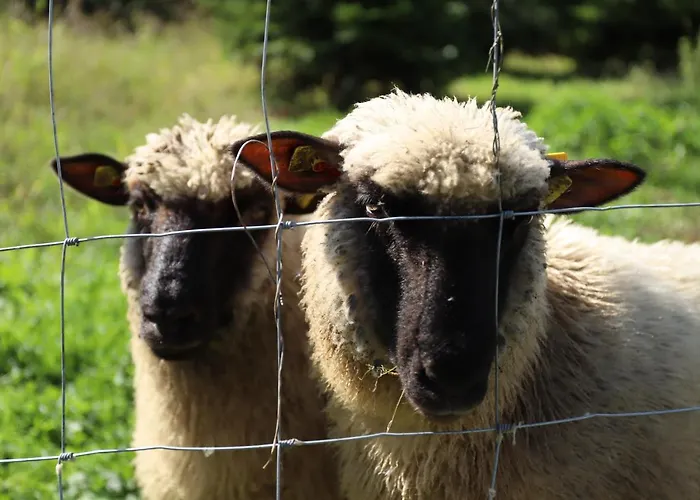 Moitz شقة Heimschuh