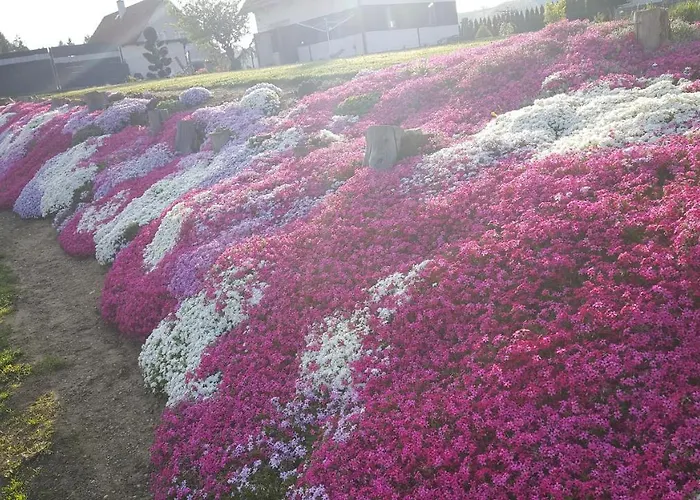 Moitz شقة Heimschuh