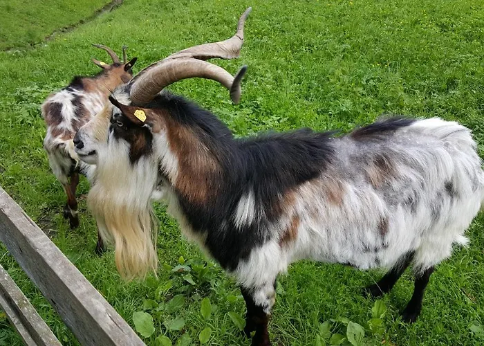 شقة Moitz Heimschuh